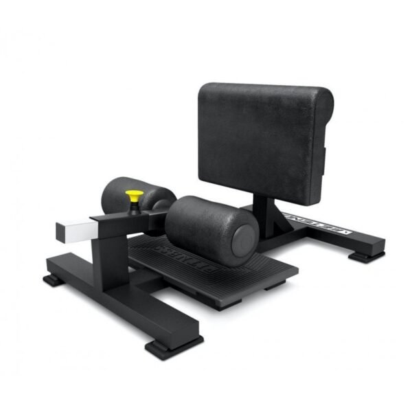 sissi-squat-musculacion-